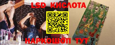 герыч Гатчина